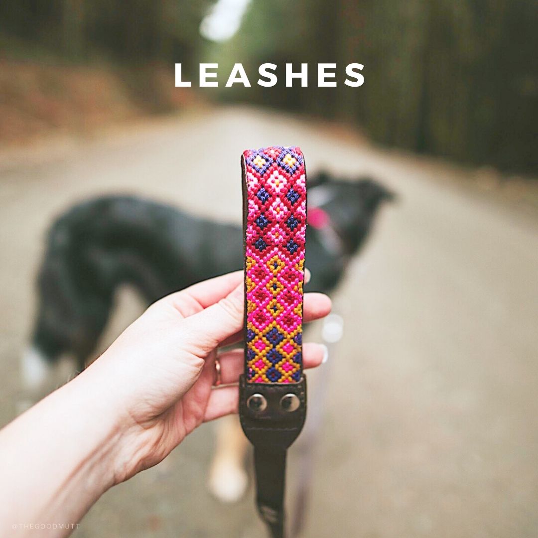 LEASHES