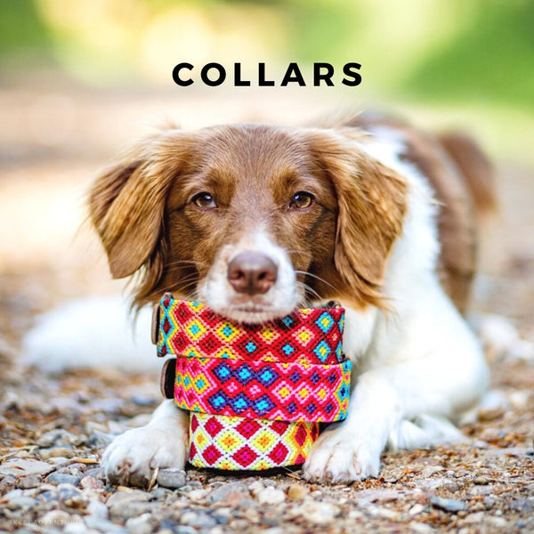 Collars Unique Collars: Beautiful and Unique Dog Collars Handwoven by Artisans - AMOR ...