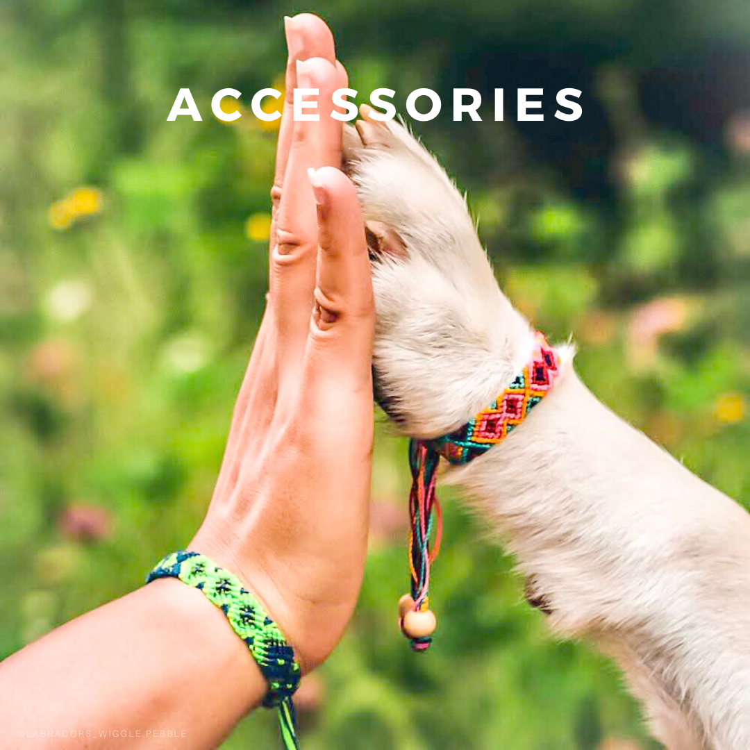 Dog Collars Leashes and Accessories inspired by Artisans