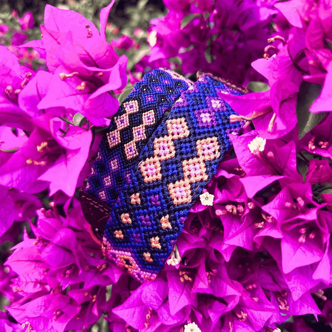 AMOR SPECIAL EDITION COLLAR: BUGAMBILIA