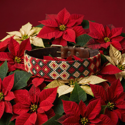 AMOR SPECIAL EDITION COLLAR: NOCHEBUENA