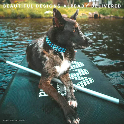 One-of-a-kind L(17"-21")