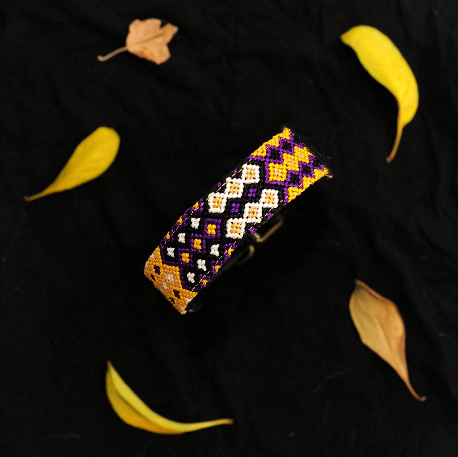 AMOR SPECIAL EDITION COLLAR: HOCUS POCUS
