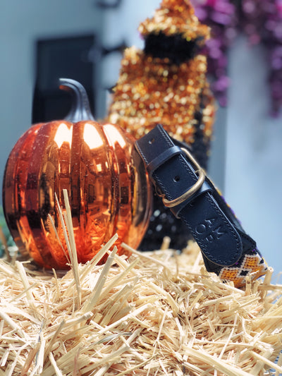 AMOR SPECIAL EDITION COLLAR: HOCUS POCUS
