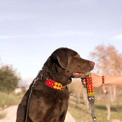 AMOR HANDMADE COLLAR LEASH AND BRACELET