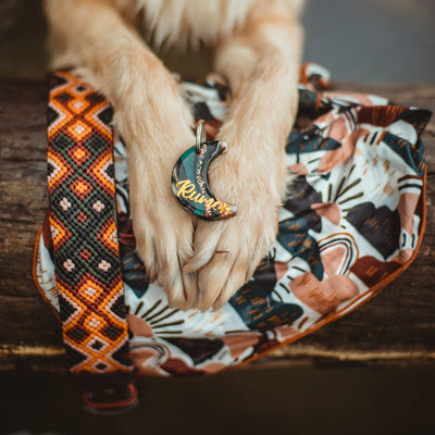 AMOR SPECIAL EDITION COLLAR: FORASTERA